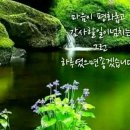 핑크 체리 이미지