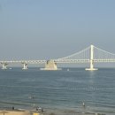 성공돈가츠 | 부산여행 광안리 톤쇼우 돈가츠맛집 캐치테이블 웨이팅 성공 및 솔직후기