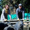 장훈목장 이미지