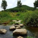 솔숲갈래길 이미지