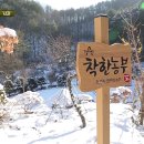 정옥순농장 티스토리
