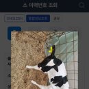 소3-121 네이버블로그