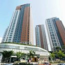 강남-276 이미지