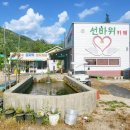 미시령별이내린캠핑장 네이버블로그