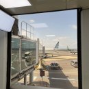 (주)제주해적잠수함 | 제주공항 국내선 출발 탑승 면세점 시간