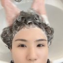 수원 금곡동 호매실 미용실 화사헤어룸 매트브라운 염색 연아 수석디자이너