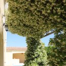 봄날처럼 민박 이미지