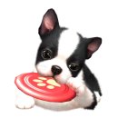 퍼피커뮤니케이션 이미지