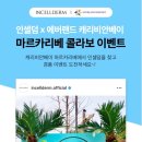 인셀덤리베