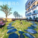 호텔 펄리 이미지