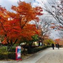 동송가마솥왕곰탕 이미지