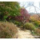 햇잎갈비 이미지