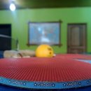 스포니스 반포점 이미지