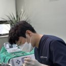 튜울립치과의원 이미지