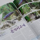 고기이야기 - 52116 | 고기이야기