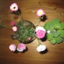 종점세탁소 이미지