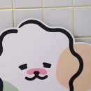 다다펫스파 이미지