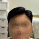 모모하우스 이미지