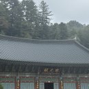 월정사 - 1357 | 월정사