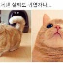 비밀 - 남동구 남동대로922번길 25 | 비밀