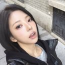 보이헤어