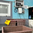 실한대게는 여기로 연안부두대게추천 맛집. 삼우수산