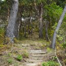 화장산(花長山586m)과 연화산(蓮花山444m)/경남 함양 이미지