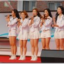 광탄시장 이미지