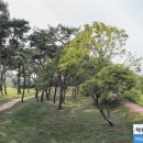 자굴산권역 이미지