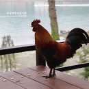 통영로즈힐펜션 이미지