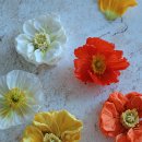 미오디자인스튜디오
