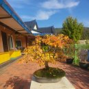 편백하우스 이미지