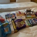 오로라요거트아이스크림 | [몽골] 겨울 몽골여행 장단점 리얼후기 / 겨울 몽골여행 필수 준비물