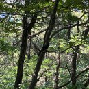 남일 청주한씨 재실 | 경산 백자산 등산코스에 대한 모든것과 등산 후기