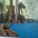 시에스엠빌딩 이미지