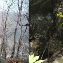 선정공원 이미지