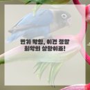 싱크대&변기&하수구막힘뚫어 | 일상 속 꿉꿉함, 시원하게 해결해 드릴게요! 창원하수구막힘싱크대막힘변기막힘뚫어 솔직 후기