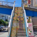 서남시장약국 | 2025 0720 ~ 0726 다시 더워지고 컨디션도 좋아지고 ♬