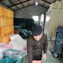 밀양장금이 이미지