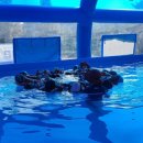 개곡초등학교 이미지