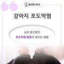 왜관동물병원 이미지