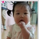 요미야 놀자 이미지