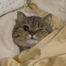 나리농장 이미지