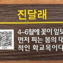 논현중앙근린공원 이미지