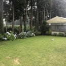 제주몽펜션 이미지