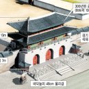 돌과나무