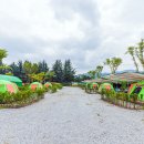 상주 감꽃마을 서울캠핑장 이미지