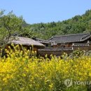 왕곡마을보존회 이미지