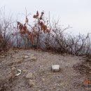 호남-고덕분맥 : 죽림편백숲~한오봉(분기점)~고덕산~장승백이~화산공원~합수점 이미지