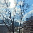 지에스25 청와공간점 이미지